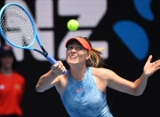 熊猫体育- 莎拉波娃经典比赛 