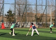 熊猫直播- 板球比赛视频 