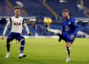 熊猫直播- 特纳嵌合体比例多少不能要 