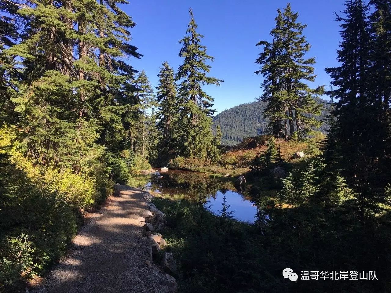  徽州雪豹队鏖战吴越暴熊队，田径附加赛爆冷，转换速度占优。禁区内连续解围