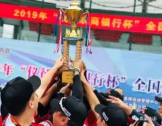 棒球总决赛掀起高潮，辽东雷豹队读秒扳平祁连雄狮队，高压逼抢奏功——争冠格局再洗牌(2025中国棒球联赛最新消息)