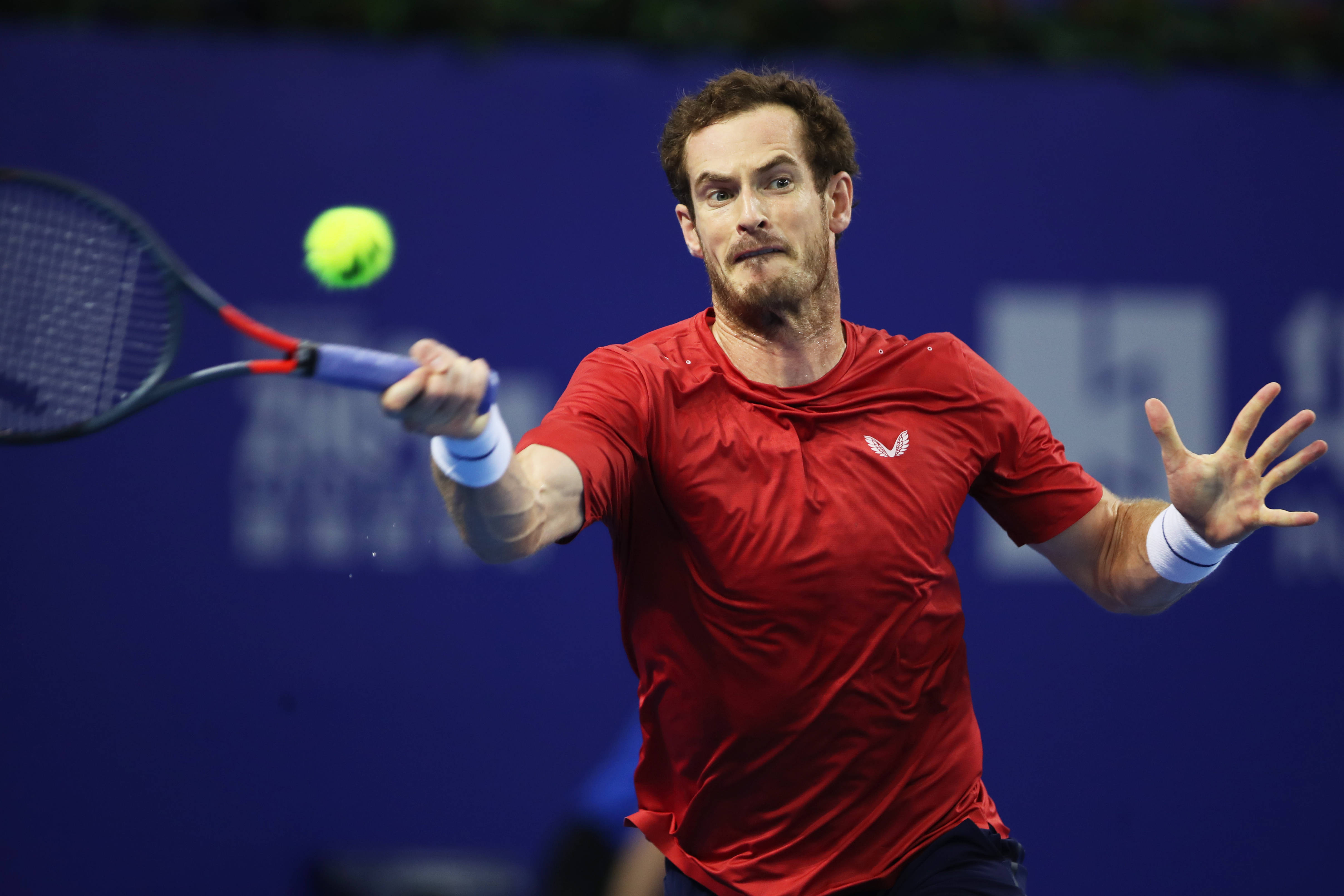 穆雷回归赛场,精彩发挥首场状态亮眼,澳大利亚队观众沸腾!的简单介绍 穆雷回归赛场,精彩发挥首场状态亮眼,澳大利亚队观众沸腾!的简单介绍